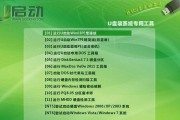 使用PE工具的详细教程（掌握PE工具的关键技巧，轻松解决问题）