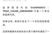 解决电脑显示错误代码691的方法（排除电脑显示错误代码691的常见问题和解决方案）