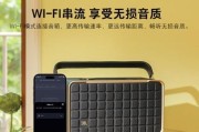 探秘惠威D6.8-IIB（一款令人心动的音质之选）