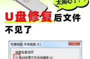 U盘插入电脑显示错误的原因与解决方法（探究U盘插入电脑显示错误的多种情况及解决技巧）