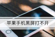 手机黑屏打不开的原因及解决方法（探索手机黑屏现象，解决打不开的困扰）