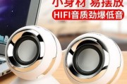 电脑点击喇叭时显示错误的原因及解决方法（解析电脑点击喇叭时出现错误的常见情况和处理方式）