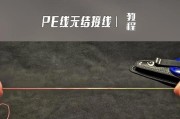 深入探究PE分区教程（解读PE分区教程的关键步骤与技巧）