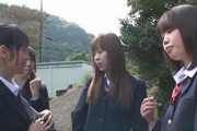 探鹿（探索未知之美，掌握你的旅行命运）