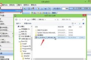 戴尔U笔记本盘装系统教程（一步步教你如何利用U盘轻松安装系统）