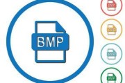 深入解析BMP文件格式（揭秘BMP文件的内部构造与工作原理）