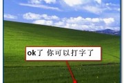 打字选字栏消失了，如何解决？（保持高效，迅速解决打字选字栏消失的问题）